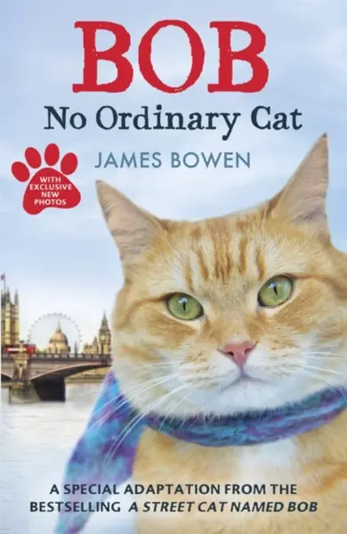 Bob : No Ordinary Cat - James Bowen