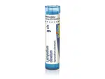 Lycopodium clavatum 9CH granule 1x4g
