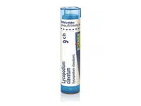 Lycopodium clavatum 9CH granule 1x4g