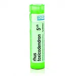 Rhus toxicodendron 5CH granule 4g
