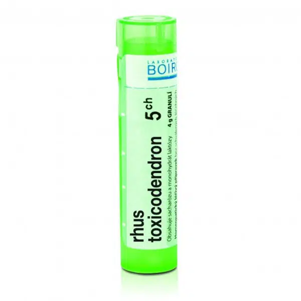 Rhus toxicodendron 5CH granule 4g