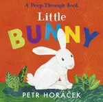 Little Bunny - Petr Horáček
