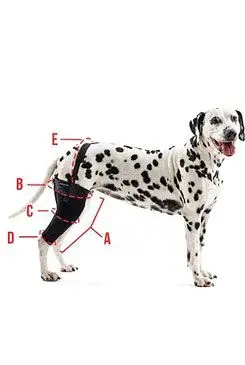 Bandáž rehab na koleno pro psa Kruuse L levá