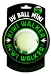Hračka pes Glow Ball mini plovoucí TPR  Kiwi