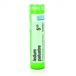 Ledum palustre 5CH granule 1x4g