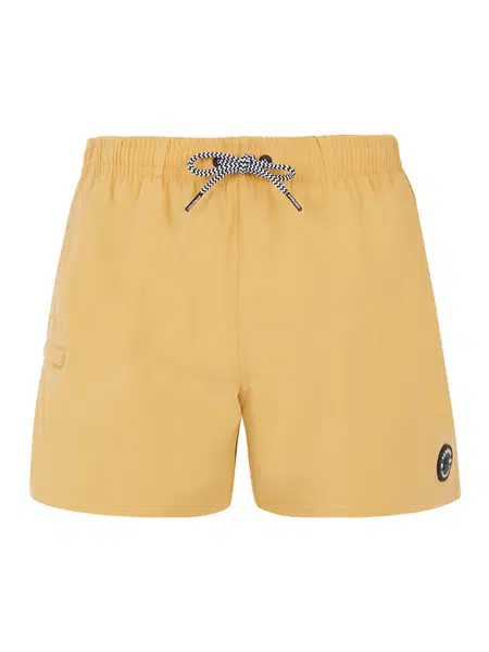 Men's beach shorts Protest PRTYESSINE