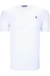 T8568 DEWBERRY V-NECK MEN'S T-SHIRT-PLAIN WHITE