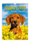 Kalendář nástěnný 2026 - Puppies/Welpen/Štěňátka/Šteniatka