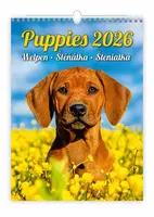 Kalendář nástěnný 2026 - Puppies/Welpen/Štěňátka/Šteniatka