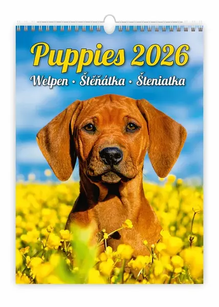 Kalendář nástěnný 2026 - Puppies/Welpen/Štěňátka/Šteniatka