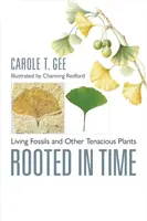 Rooted in Time - Carole T.  Gee