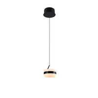 Trio Leuchten ZÁVĚSNÉ LED SVÍTIDLO, 15,5/150 cm