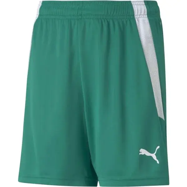 Puma TEAMLIGA SHORTS Juniorské šortky, zelená, velikost