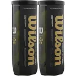 Wilson PREMIER PADEL SPEED BALL 2PACK Míče na padel, žlutá, velikost