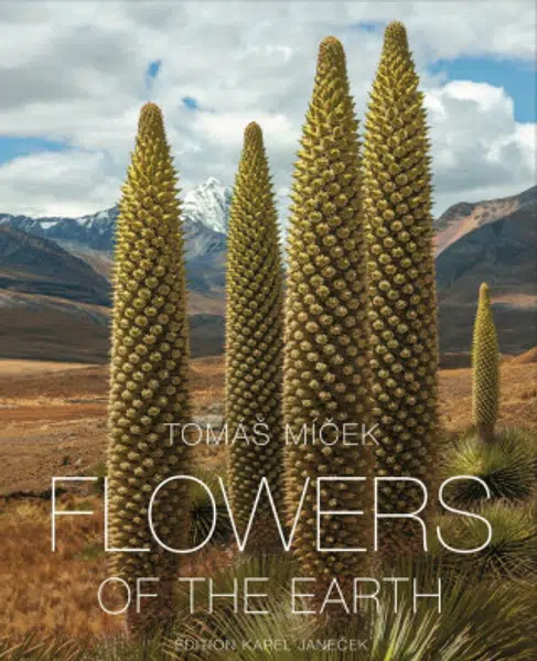 Květy Země- Flowers of the Earth - Tomáš Míček