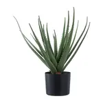 Umělá rostlina v květináči House Nordic Aloe Vera zelená barva