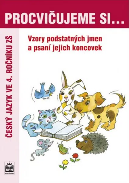 Procvičujeme si vzory a psaní koncovek podstatných jmen pro 4. r. ZŠ