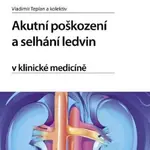 Akutní poškození a selhání ledvin v klinické medicíně - Vladimír Teplan - e-kniha