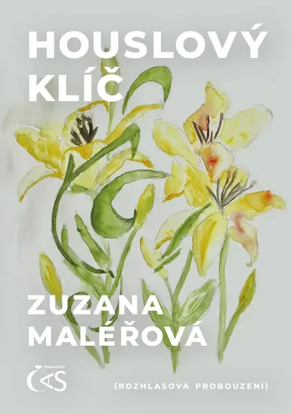 Houslový klíč - Zuzana Maléřová
