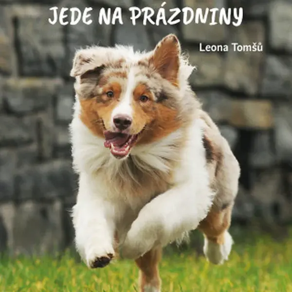 Australský ovčák jede na prázdniny - Leona Tomšů - e-kniha