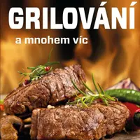 Grilování a mnohem víc - Hazebroek Jeroen, Elenbaas Leonard