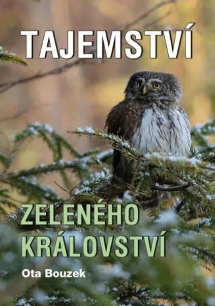 Tajemství zeleného království - Ota Bouzek