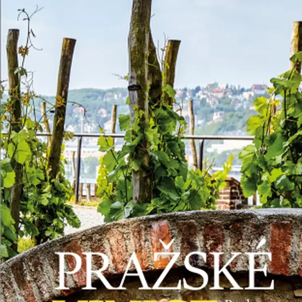 Pražské vinice - Radana Vítková - e-kniha