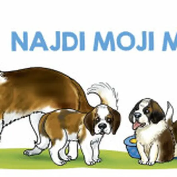 Najdi moji mámu