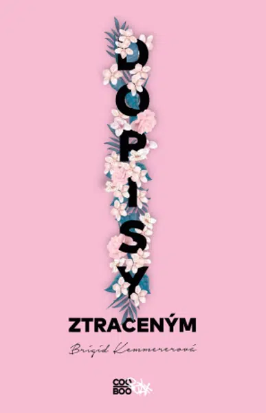 Dopisy ztraceným - Brigid Kemmererová - e-kniha