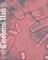 Činoherní ústí - Ve znamení kovadliny 1958-2022 - Libor Vodička, Tereza Marečková, Petr J. Novotný