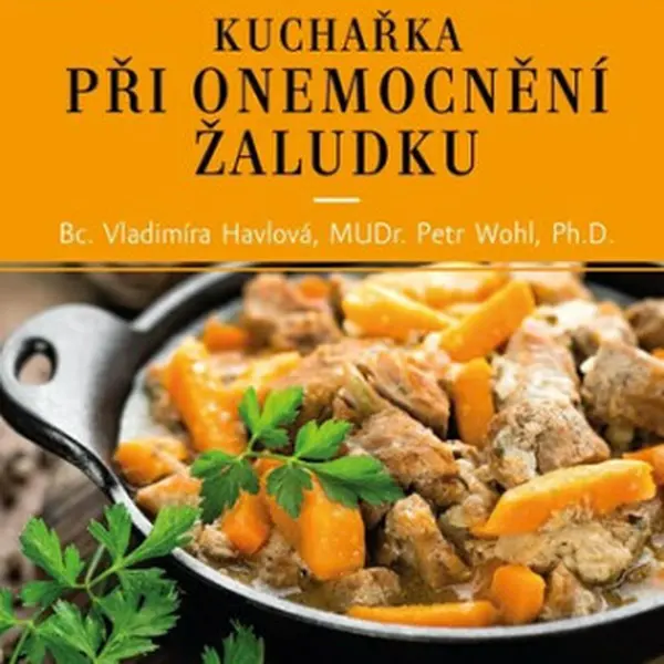 Kuchařka při onemocnění žaludku - Vladimíra Havlová, Petr Wohl