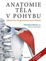 Anatomie těla v pohybu - Základní kurz anatomie kostí, svalů a kloubů - Theodore Dimon Jr.