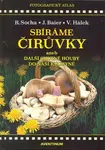 Sbíráme čirůvky - Radomír Socha, Jiří Baier