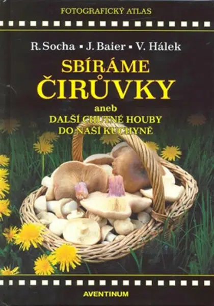 Sbíráme čirůvky - Radomír Socha, Jiří Baier