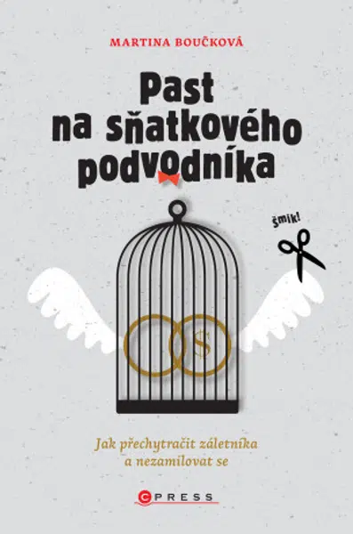 Past na sňatkového podvodníka - Martina Boučková - e-kniha