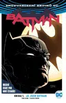 Batman 01: Já jsem Gotham V8 - David Finch, Tom King