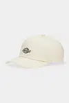 Bavlněná baseballová čepice Dickies žlutá barva, s aplikací, DK0A4Z6NK531