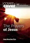 The Prayers of Jesus - Amy Boucher Pye