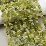 Natural Jade Chip Beads Strands