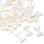 Freshwater Shell Beads