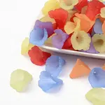 Mixed Transparent Acrylic Flower Beads