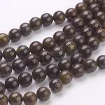 Natural Bronzite Beads Strands