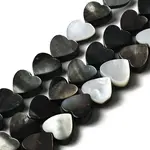 Natural Black Lip Shell Beads Strands
