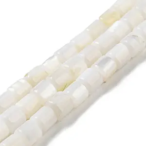 Natural Freshwater Shell Beads Strands