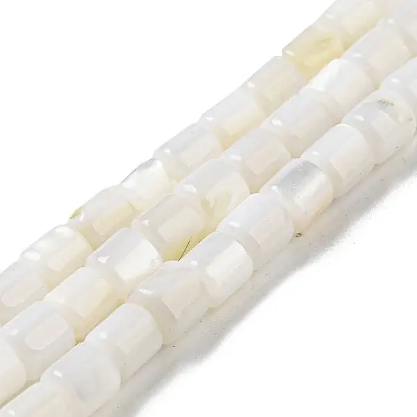 Natural Freshwater Shell Beads Strands