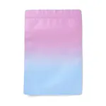 Two Tone Rectangle Plastic Zip Lock Gift Bags