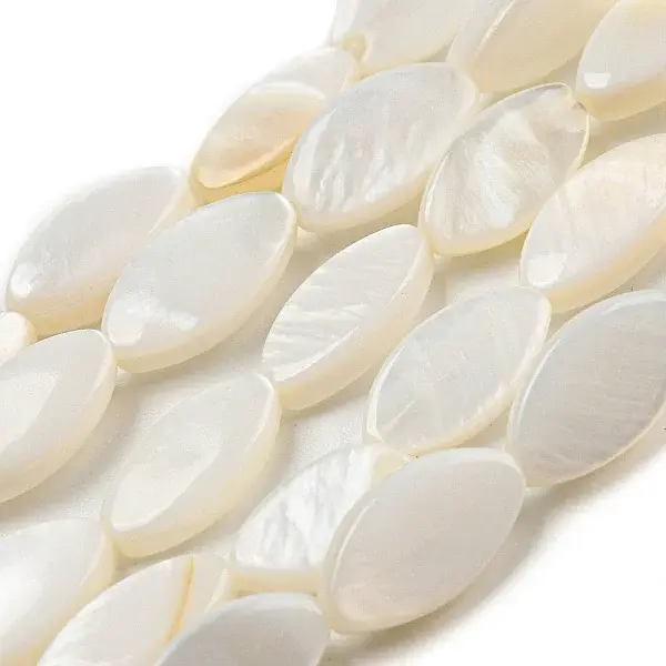 Natural Freshwater Shell Beads Strands