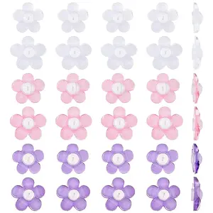 30Pcs 6 Styles Acrylic Ear Nuts