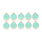 Light Gold Plated Alloy Enamel Charms
