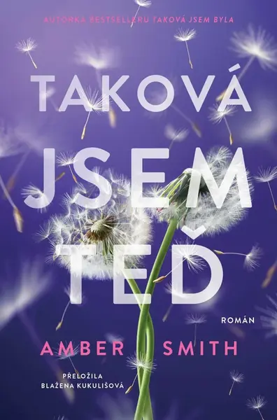 Taková jsem teď (poškozená) - Amber Smith